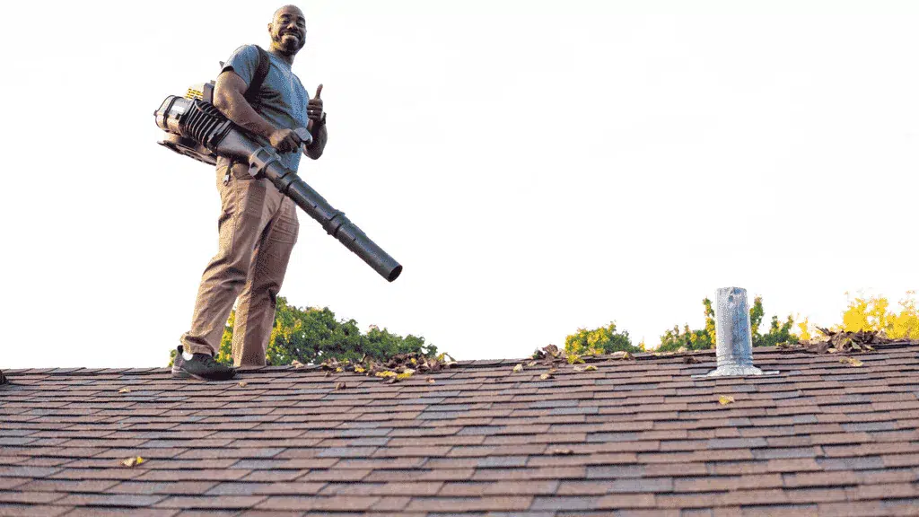 On a roof gutter cleaning website design